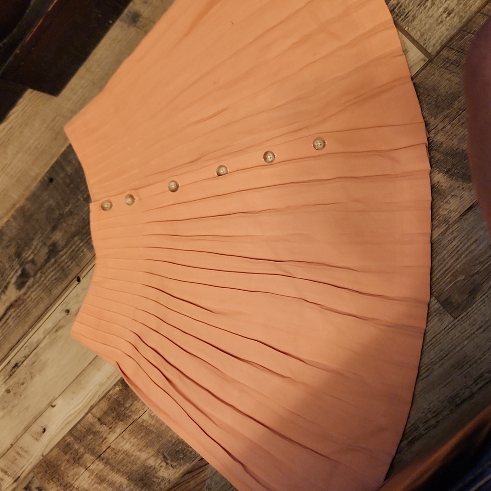 Dkny pleated skirt